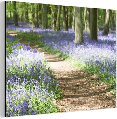 Aluminium schilderij 80x60 cm - Wanddecoratie metaal - Bos - Pad - Bloemen - Paars - Groen - Natuur - Metalen muurdecoratie woonkamer - Decoratie industrieel - Foto op dibond - Industriële accessoires slaapkamer