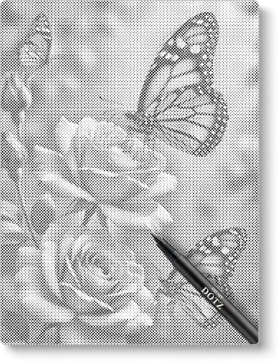 Vlinder met rozen | Dot painting | 30x40cm | Dot painting | Oh My Dotz | Dots stippen | Diamond painting & Schilderen op nummer alternatief | Happy hobby