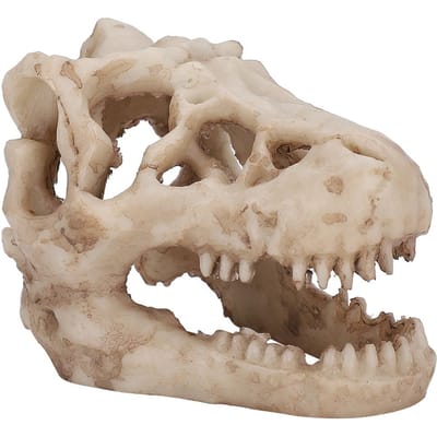 Aquarium Vissenkom Decoratie Kunstmatige Simulatie Dinosaurus Schedel Vorm voor Waterplanten Decoratie beige