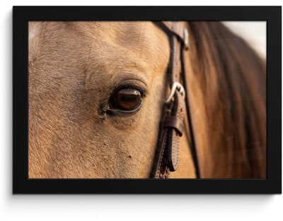 Poster in lijst - Fotolijst 30x20 cm - Posters - Paard - Oog - Bruin - Posterlijst zwart - Decoratie - Wanddecoratie woonkamer - Muurdecoratie slaapkamer