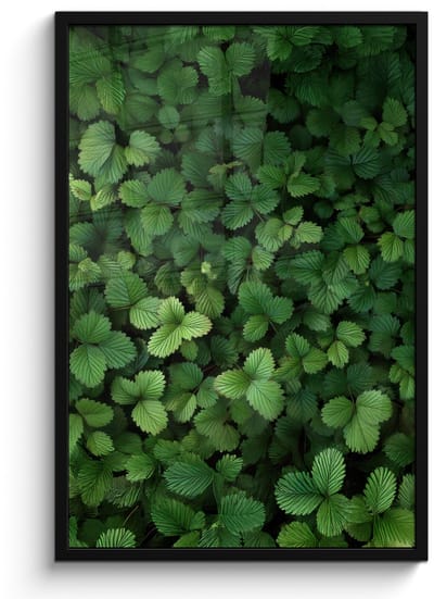 Poster in lijst - Fotolijst 60x90 cm - Posters - Groen - Bladeren - Kartel - Zonlicht - Posterlijst zwart - Decoratie - Wanddecoratie woonkamer - Muurdecoratie slaapkamer
