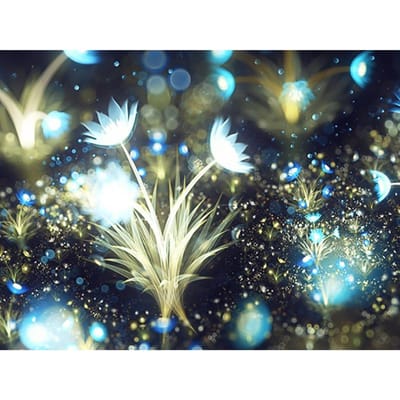 Peinture diamant à faire soi-même, point de croix, pissenlit de rêve, strass ronds complets, décor de broderie 20X30CM gray