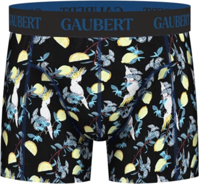 6 stuks GAUBERT® Bamboe Heren Boxershort | Premium comfort, ademend en duurzaam | thema: Vogel en fruit