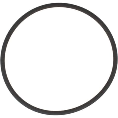 Versnellingsbak O-ring ZF 0634313067ZF