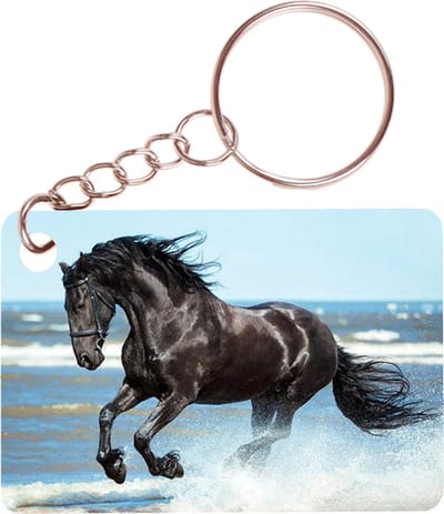 Sleutelhanger 6x4cm - Fries Paard op Strand