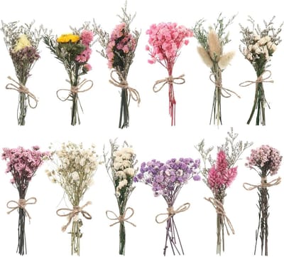 12-delige set natuurlijke gedroogde bloemen decoratie met lavendel, madeliefjes en vergeet-mij-nietjes - veelzijdig voor huis en kantoor