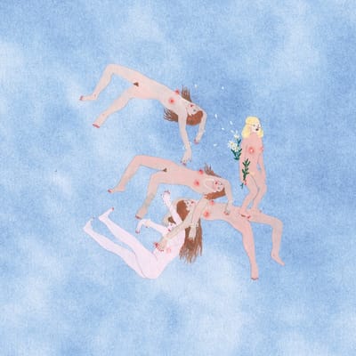 Klinck Trio - My Hair Is Everywhere (LP)
