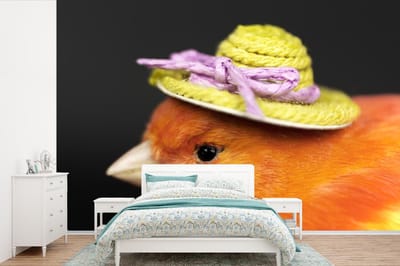 Behang - Fotobehang Vogel - Hoed - Oranje - Breedte 420 cm x hoogte 280 cm