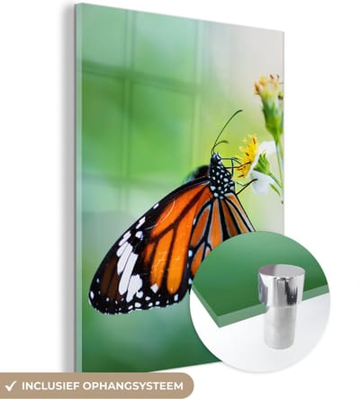 MuchoWow® Glasschilderij 30x40 cm - Schilderij acrylglas - Vlinder - Bloemen - Insecten - Foto op glas - Schilderijen