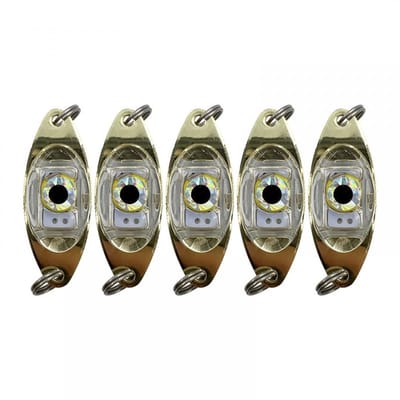 Dailygoods - 5 Stuks LED Vissen Lokken Lichten met Fisheye Ontwerp