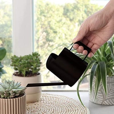 Roestvrij stalen gieter - 300 ml - Zwarte mini-kamerplant gieter met lange schenktuit .