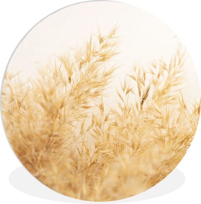 WallCircle® Wandcirkel 150x150 cm - Muurcirkel Pampasgras - Zon - Gras - Muurdecoratie woonkamer - Wanddecoratie slaapkamer - Kamer decoratie accessoires - Ronde schilderijen