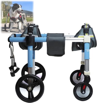 Hondenrolstoel - Hondenhulp - Huisdier Mobiliteit - Verstelbaar Aluminium - Maat L - Blauw