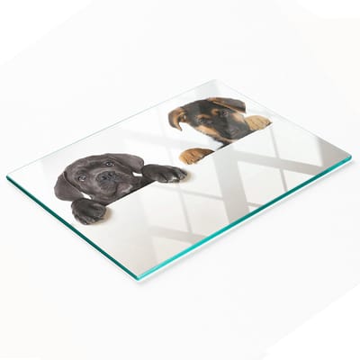 Glazen serveerplank met afbeelding van drie puppy's, 80x52 cm
