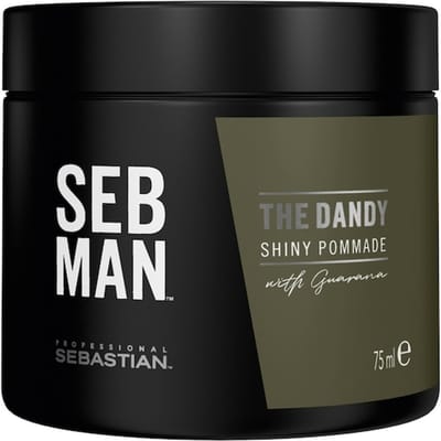 Sebastian Professional SebMan The Dandy Light Hold Pomade Fiber & Gum Heren 75 ml