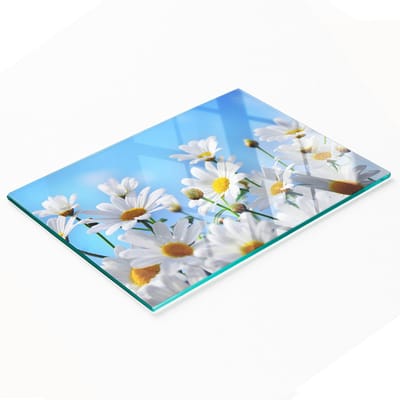 Keukenplank van gehard glas met decoratieve madeliefjes, 80x52 cm