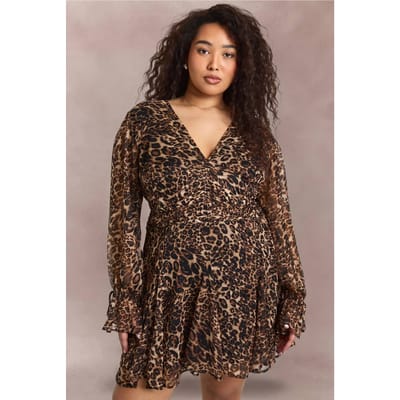 boohoo Dames Plus Leopard Getailleerde Skater Jurk | Luipaardprint | Maat: 44