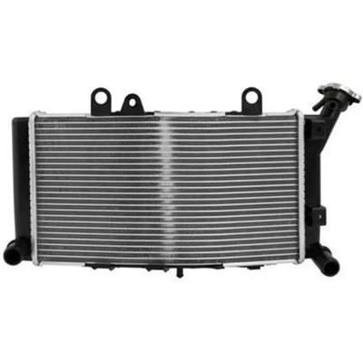 Motorradiateur Brazoline Bmw F 850 Gs (2019-2023)