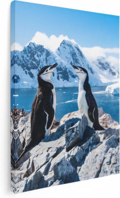 Artaza Canvas Schilderij Pinguïns Antarctica - 30x40 cm - Klein - Wanddecoratie Landschap - Muurdecoratie Sneeuw - Kamer Accessoires Natuur