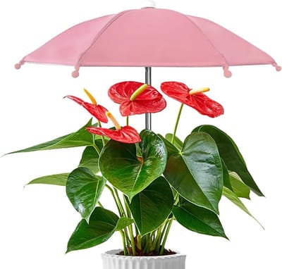 Plantenparaplu - Schaduwmaker Tuin - Bescherming Planten - Uv-bestendig - 27 cm - Zilver