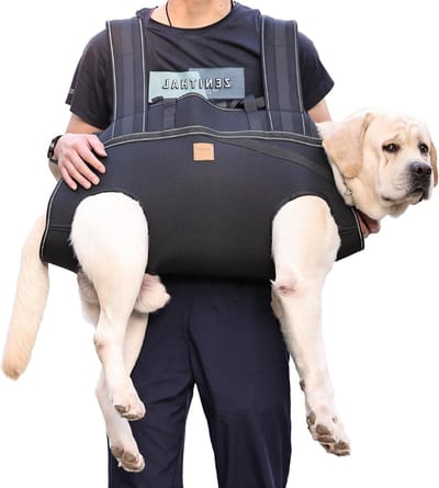 Grote hondendraagtas, hondenrugzak, huisdierbeensteun, hondenharnas, draagtas voor oudere honden, gewrichtsblessures, artritis, trappenop- en neer, verlamming, XXXL voor honden met