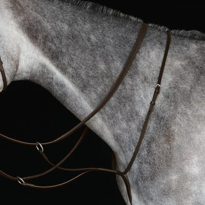 Paardenrennen martingaal Weatherbeeta Collegiate IV