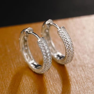 Luxe Dames Zilverkleur Hoepel Oorbellen Schitterende Micro Pavé Cz Steen Veelzijdige Dames Accessoires Hoge Kwaliteit Bruiloftsjuwelen brown