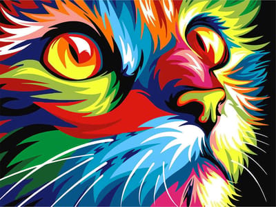 Toi-Toys - Diamond Painting - Kleurrijke Kat - 50x40 cm