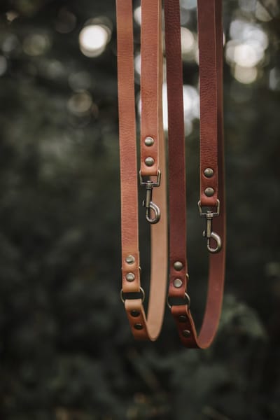 Cooper & Quint Switch Verstelbare Leren Hondenriem - Bruin - 1.5cm - Oud Messing