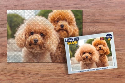Puzzel Een close-up van de bruine puppy's - Legpuzzel - Puzzel 1000 stukjes volwassenen