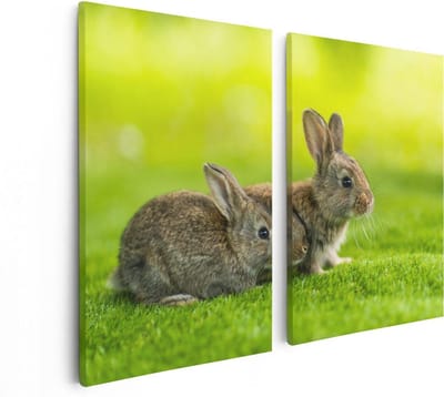 Artaza Canvas Schilderij Tweeluik Twee Konijnen Op Het Groene Gras - 80x60 - Foto Op Canvas - Canvas Print