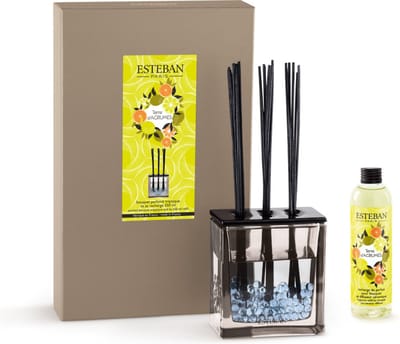 Esteban Classic Terre d'Agrumes Geurstokjes Triptyque 250ml