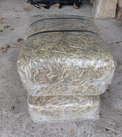Timothy Hooi - Knaagdieren - Konijnen - Paarden - 10 kg