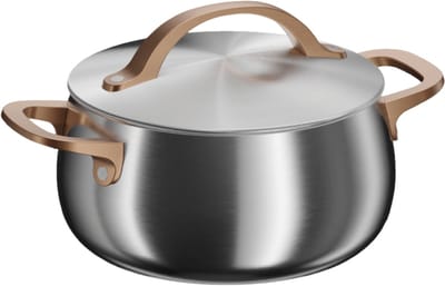 BergHOFF Home Kookpan 20 cm - Rvs Kookpot met Deksel - Geschikt voor Inductie en Alle Warmtebronnen - PFAS-Vrije-Kasserol - Oven- en Vaatwasserbestendige Pot - 3,7 L - Warm Blush