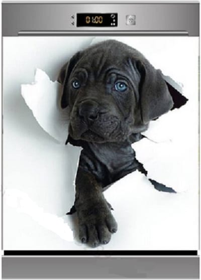 Vaatwasser sticker - Labrador pup - zwart - zelfklevend - 60 x 66 cm