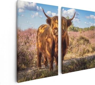 Artaza Canvas Schilderij Tweeluik Schotse Hooglander Koe In De Wei - 80x60 - Foto Op Canvas - Canvas Print