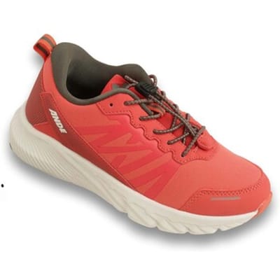 Hardloopschoenen Ande Coldai Jr