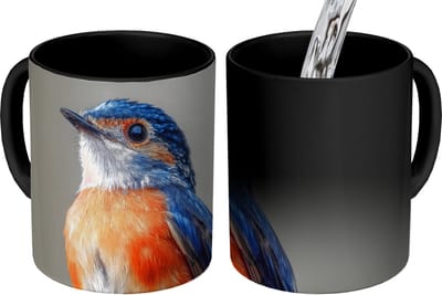 Magische Mok - Foto op Warmte Mokken - Koffiemok - Kleurrijk - Vogeltje - Veren - Blauw - Magic Mok - Beker - 350 ML - Theemok