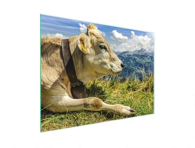 TMK ArtDeko Serie - Glazen Snijplank - 30x22 cm - Koel Afbeelding - Antislip