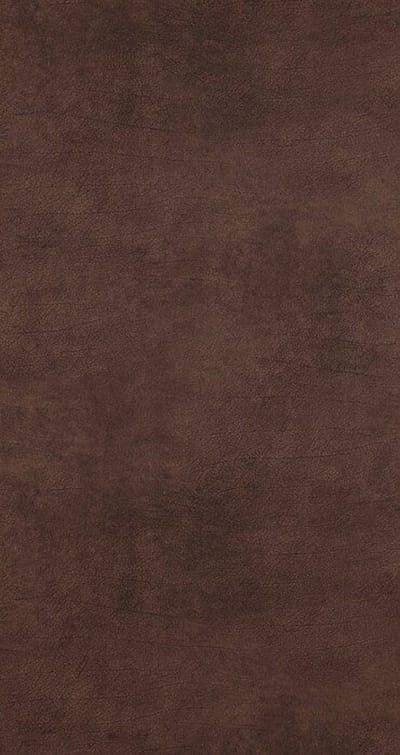 BRUIN LEATHERPRINT BEHANG CURIOUS 17922