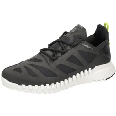 Nette Schoenen Ecco -