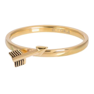 iXXXi Vulring Symbol Arrow Goud | Maat 17