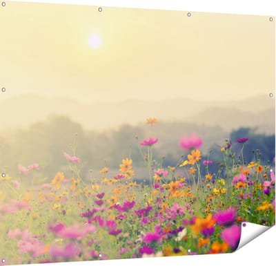 Gards Tuinposter Bloemenveld met Kosmos - Zonsondergang - 150x120 cm - Tuindoek - Tuindecoratie - Wanddecoratie buiten - Tuinschilderij