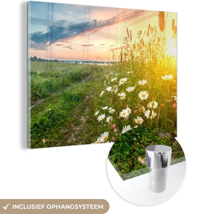 MuchoWow® Glasschilderij 40x30 cm - Schilderij acrylglas - Bloemen - Madelief - Natuur - Zon - Horizon - Foto op glas - Schilderijen