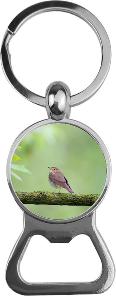 Bieropener Glas - Vogel