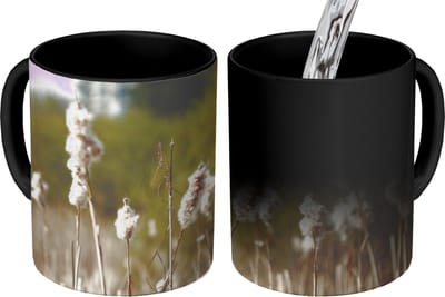 Magische Mok - Foto op Warmte Mokken - Koffiemok - Katoen - Zon - Planten - Magic Mok - Beker - 350 ML - Theemok