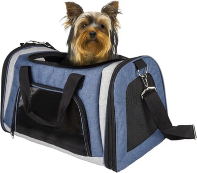 Huisdier Rugzak - Transporttas Kat Hond - Veilig Vervoer - Vormvast Schuim - 46 x 28 x 28 cm - Zwart