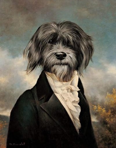 Kunstdruk Thierry Poncelet - Gavroche 28x35,5cm