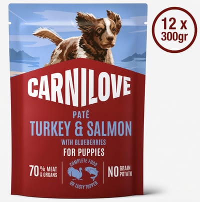 Carnilove Dog Pouch Paté Turkey & Salmon with Blueberries for Puppies 12 x 300 g