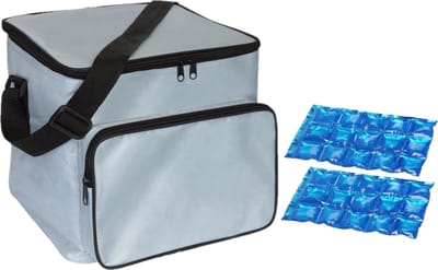 Grote koeltas zilver met 2 stuks flexibele koelelementen 21 liter